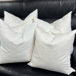Down Feather Decorative Pillow Inserts - Square